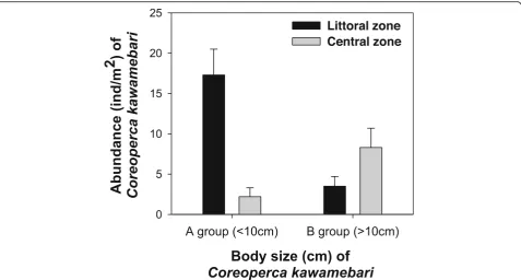 Fig. 3 Abundance of the two groups of Coreoperca kawamebari, divided based on the body size, in the littoral and central zones