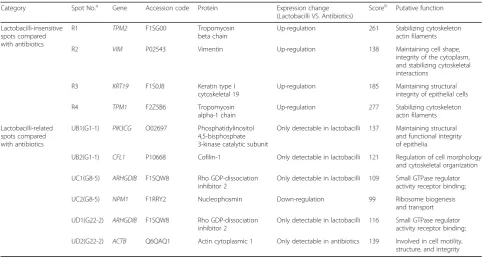 Table 4 Differentially expressed proteins in the ileum mucosa of piglets supplemented by three lactobacilli in diets compared withantibiotics