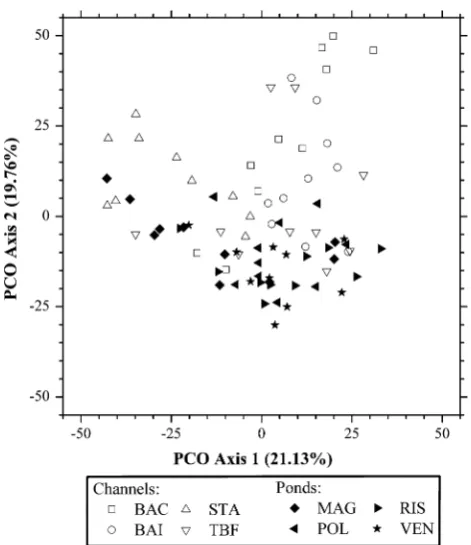 Fig. 3 PCO unconstrained ordination (i.e. metric MDS) based onBray-Curtis dissimilarities of square rout-transformed macrobenthicabundance data