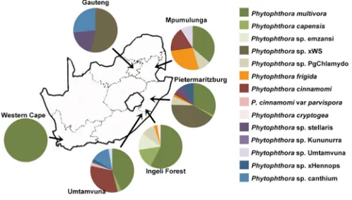 Fig. 1. Diversity and distribution of Phytophthora species from six sampling sites in South Africa.