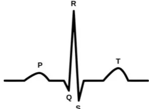 Fig. 1.  Basic wave appearing repeatedly in ECG data  
