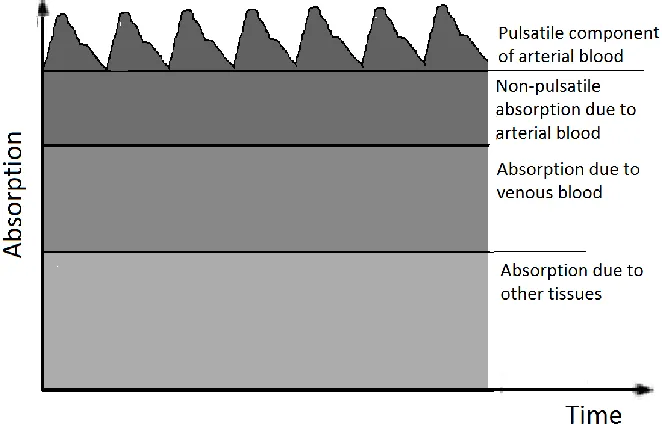 Figure 1.4. Variation in attenuation due to arterial blood  