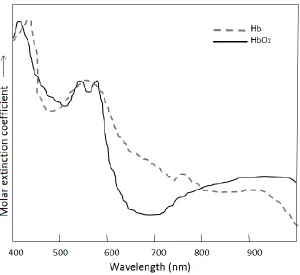 Figure 1.5. Example absorption spectrum of Hb and HbO2  