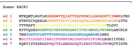 Figure 1 Sequence of RACK1 depicting WD-repeats. RACK1 is a317 amino acid protein with seven 40 amino acid repeats whichare defined by sequences flanked by GH and WD dipeptides.
