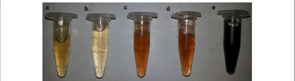 Fig. 2 UV-Vis absorption maxima of silver nanoparticles. The data is based on the presence of absorbance peak of AgNP’s solution at the wavelength range of 400–450 nm