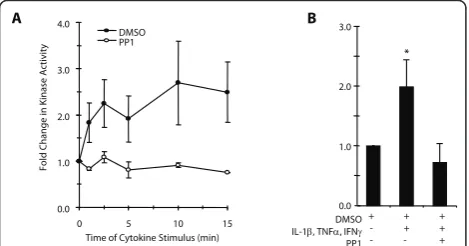 Figure 1 Effect of cytokine stimulation on Src tyrosine kinase