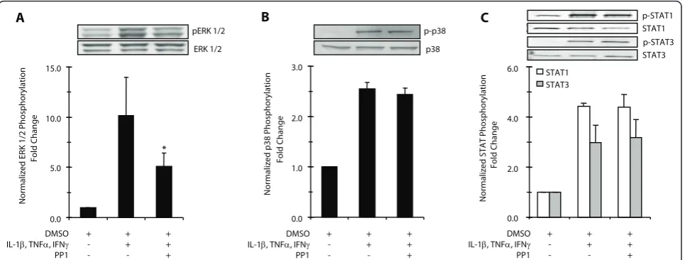 Figure 3 Effects of PP1 on cytokine-stimulated MAPK phosphorylationcytokine-stimulated ERK 1/2 MAPK phosphorylation (pERK 1/2) normalized to non-phosphorylated ERK.p38 MAPK phosphorylation (p-p38) normalized to non-phosphorylated p38 MAPK