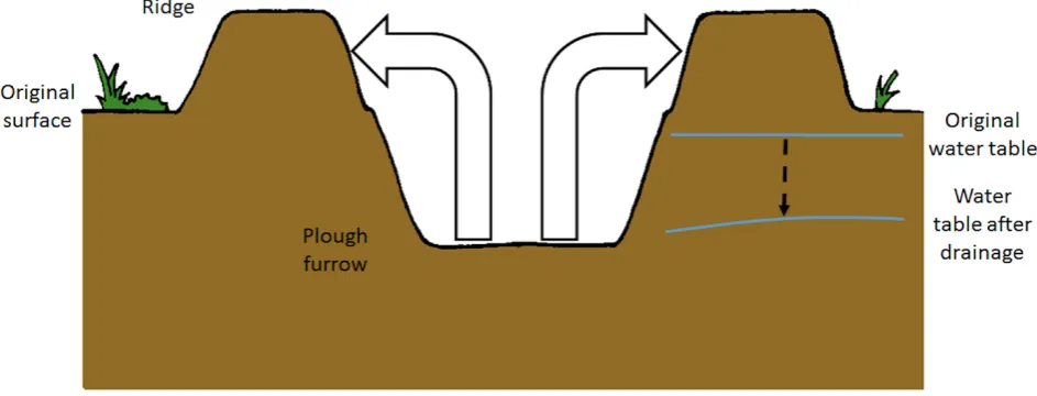Figure 1. A double mould board plough creates a furrow in the peat and pushes excavated peat into ridges