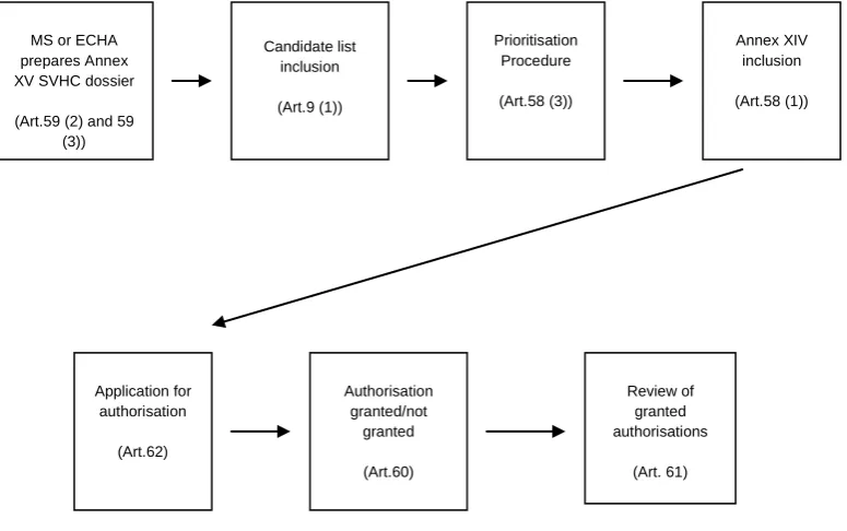 Figure 2: Simplified description of authorisation procedure501