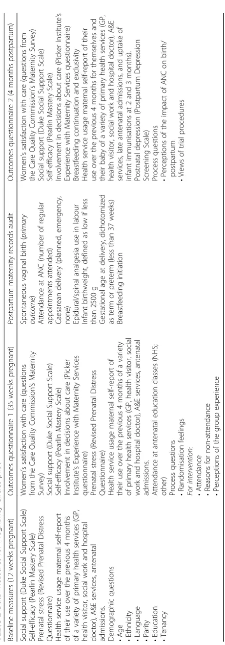 Table 2 Data measures for Pregnancy Circles pilot