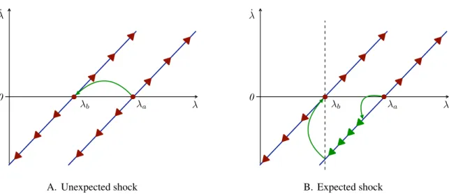 Figure 7: Response of the Equilibrium with Constant Inflation to Unexpected and Expected Shocks