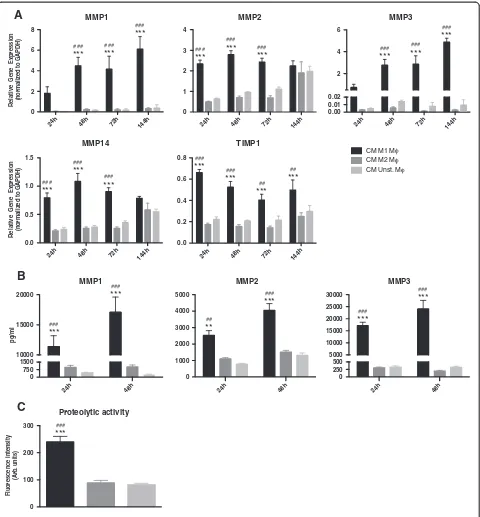Figure 4 CM from M1 macrophages induces dermal fibroblasts with extracellular matrix degradation properties.compared to fibroblasts stimulated with CM of M2 macrophages or unstimulated macrophages ( HDFs upregulated thegene expression of MMP1, MMP2, MMP3, 