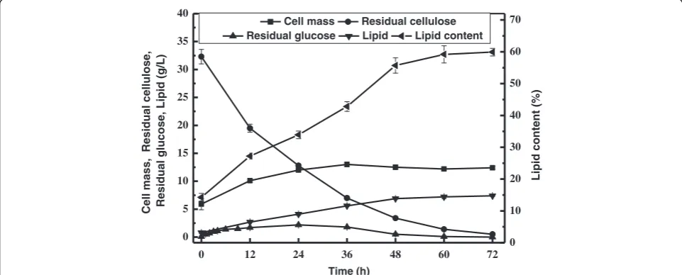 Figure 2 Time course of lipid production by C. curvatus on glucose using the two-staged process.