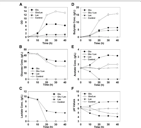 Figure 5 Characteristics of C. tyrobutyricum ATCC 25755T cultures grown on P2 medium supplemented with either 40.0 g/L glucose(Glu), 40.0 g/L glucose and 10.0 g/L lactate (Glu+Lac), 10.0 g/L lactate (Lac) or nothing (Control)