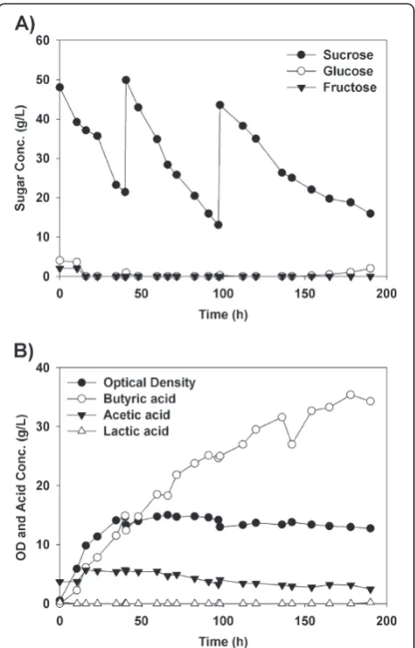Figure 8 Growth of and butyric acid production by B. sp. SGP1and C. tyrobutyricum ATCC 25755T co-cultures with and withoutpurging of the medium with argon gas