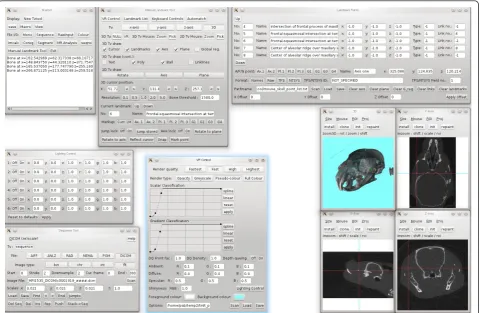 Figure 3 Examples of multilayered objects. Screenshots of the 3D and 2D Tv tools. Left: Skull of a small fish, anterior tip of otolith selected.Right: Decalcified skull with precipitations in surrounding tissue of a European Ground Squirrel, first tip of molar teeth selected.