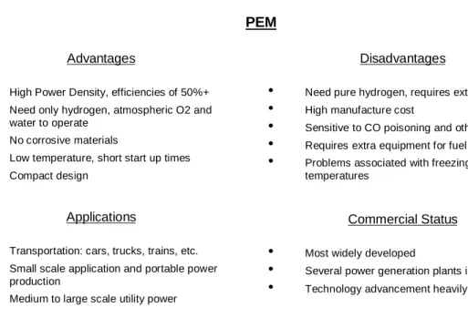 Table 4:  PEM Advantages and Disadvantages  