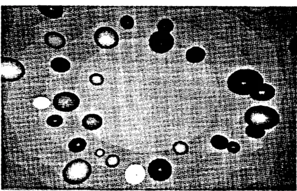Figure 4. Top view of a room full of round balls suspended in space.