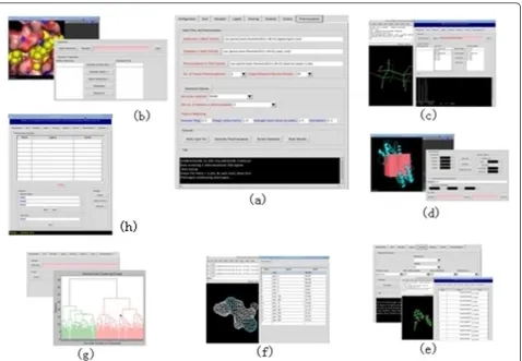 Figure 2 Main applications of the IVSPlat 1.0 VS platform. (a) Main screen of the IVSPlat 1.0 platform