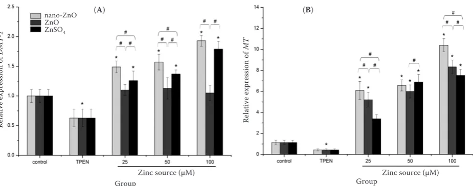 Figure 5. Effects of TPEN (Zn-deficient medium) and nano-ZnO, feed-grade ZnO, and ZnSO4 on mRNA expression of divalent metal transporter (DMT-1) (A) and metallothionein (MT) (B) in IEC-6 cellscells propagated on transwell filters were incubated with or without (control) experimental agents for 24 h*significant difference when compared with control (P < 0.05)#significant difference when comparing Zn sources within the same concentration (P < 0.05)data are means ± SD (n = 8)
