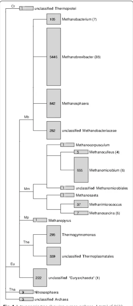 Fig. 1 A taxonomic tree showing rumen archaea. A total of 8623sequences of rumen archaea were retrieved from the RDP Release11 (Update 3)