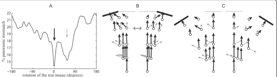Figure 3 Rotational image differencestraining condition (i.e., memorised view) for every possible rotation