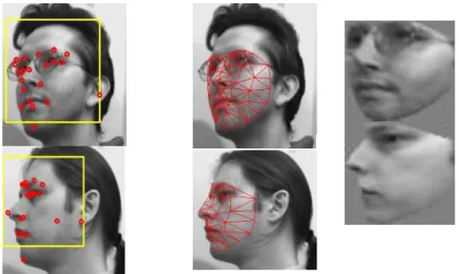 Figure 2. Normalization using piece-wise triangular warp 