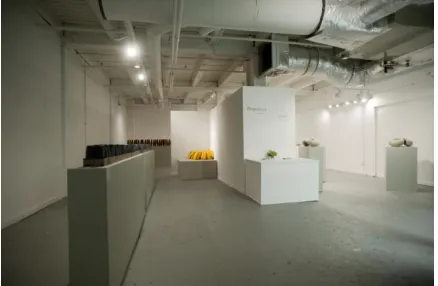 Figure 5. Gallery space before renovations,  2011 
