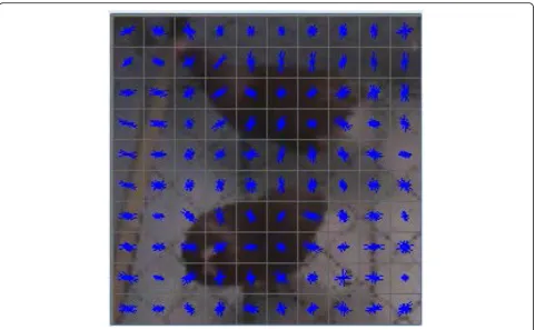 Fig. 7 Visualization results of the histogram of orientation gradient feature used in the HSVM track
