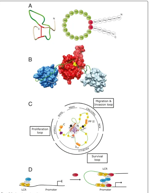 Figure 1 (See legend on next page.)
