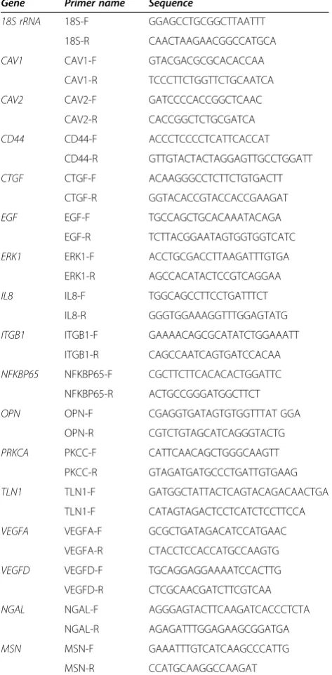 Table 1 Primers used for quantitative real-time PCR
