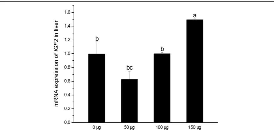 Fig. 1 Effects of in ovo folic acid injection on IGF2 mRNA expression in the liver of new-born chickens