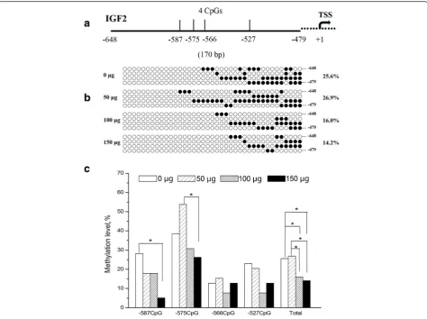 Fig. 2 Methylation analysis of thewere shown as maps of empty and full circles. Empty circles showed unmethylated CpGs and full circles methylated CpGs
