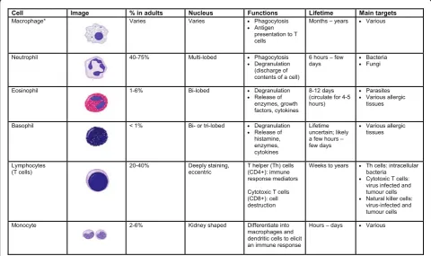Figure 1 Characteristics and function of cells involved in innate immunity [1,3,4]. *Dust cells (within pulmonary alveolus), histiocytes(connective tissue), Kupffer cells (liver), microglial cells (neural tissue), epithelioid cells (granulomas), osteoclasts (bone), mesangial cells (kidney)