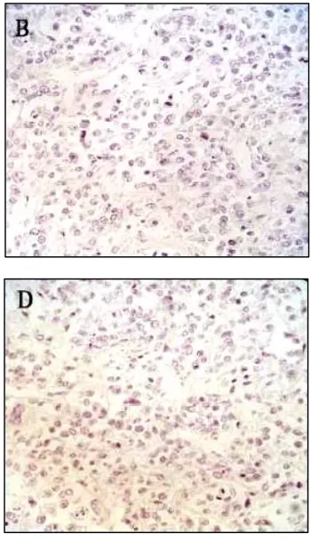 Figure 5. CD99: A, 