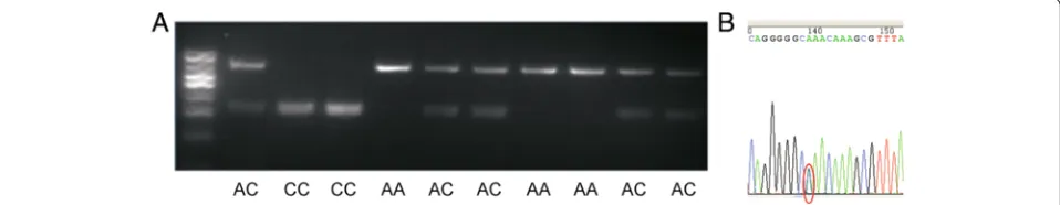 Fig. 7 Change of transcription factor caused by mutation. a C at 204 bp; b A at 204 bp