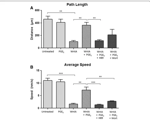 Figure 3 PGE2-dependent effect on path length and average speed. (A) Path length travelled was 459, 409, 103, 362 μm, respectively.(B) Average speed of migration was 11.0, 10.5, 1.7, 7.2 nm/s, respectively