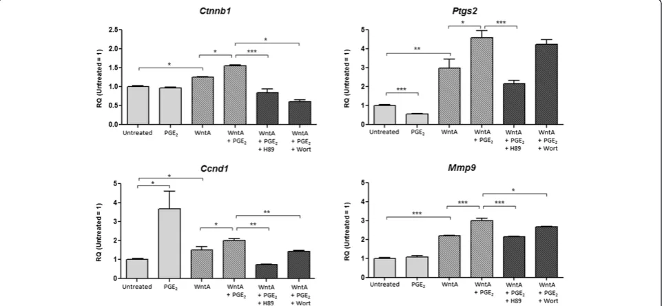 Figure 7 PGEforms of activeβdifferent from control at *2-dependent effect on β-catenin expression in Wnt-activated NE-4C cells