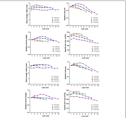 Fig. 8 Changes of leaf properties along leaf rank on a stem from 4-L plant to an 11-L plant