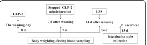 Fig. 1 The time flow chart for treatment and sample collection