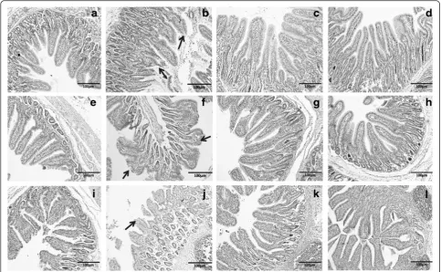 Table 5 Effect of h[Gly2]GLP-21-34 on enzyme activity in the small intestine of LPS-challenged weaned pigletsa