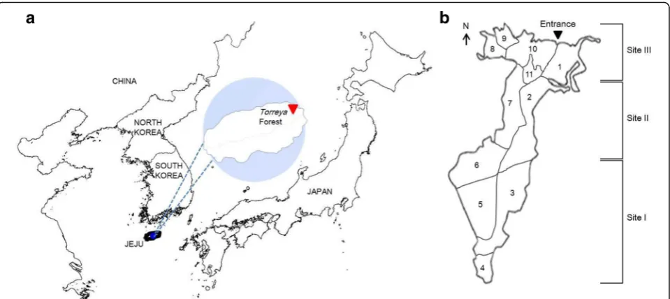 Fig. 1 amiddle part including plots 2depending on the sex ratio and DBH gradient by Kang and Shin (2012): Site I in the southern part of the forest including plots 3 Location of Torreya Forest in Jeju Island, South Korea