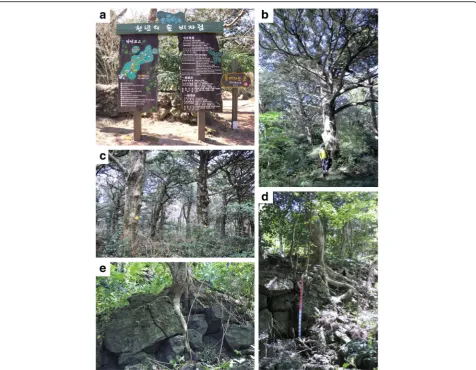 Table 2 Numbers, sex ratio and DBH of T. nucifera trees in thethree quadrats (160 × 300 m)