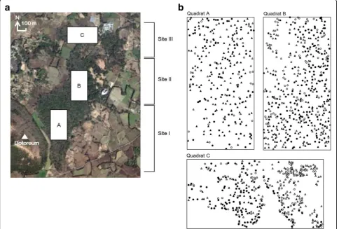 Fig. 3 a Location of the three quadrats (160 × 300 m) in Torreya Forest. b Distribution of T