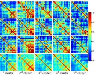 Figure 4. Rows 1 - 3 display 3 sampled miSIMs in each of the five clusters for resting EEG, the last row display the corresponding cluster centers (maSIMs)