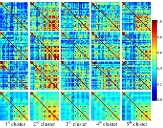 Figure 3. Rows 1 - 3 display 3 sampled miSIMs in each of the five clusters for Zen-medi- tation EEG, the last row display the corresponding cluster centers (maSIMs)