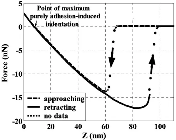 Figure 1.4: An example AFM force-distance curve on PDMS showing jump to contact andindentation effect [7]