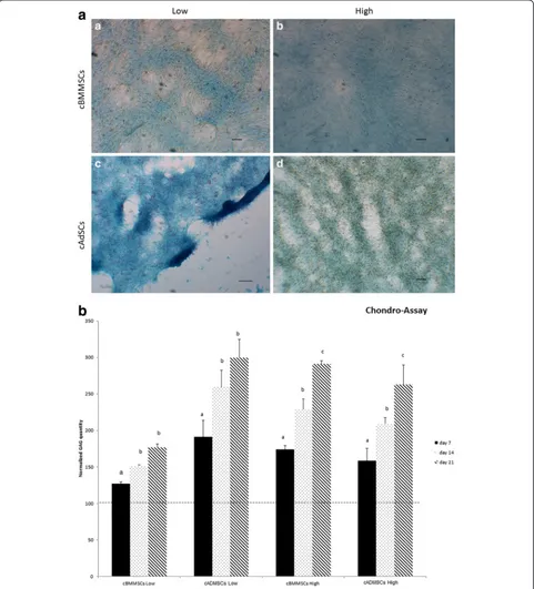 Fig. 4 Chondrogenesis differentiation. Comparison of cBMMSCs and cADMSCs. a chondrogenesis as detected by alcian blue staining at d 14after induction (a) cBMMSCsLow, 5X (b) cBMMSCsHigh, 5X (c) cADMSCsLow, 5X (d) cADMSCsHigh, 5X