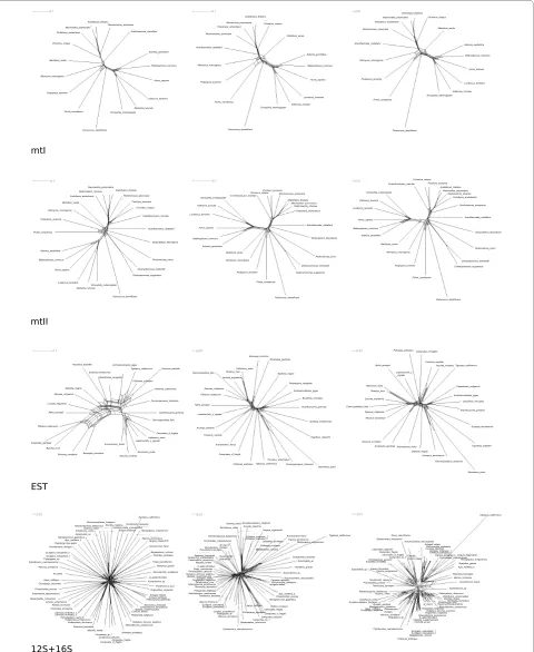 Figure 3 Neighbor-Net graphs. Neighbor-Net graphs generated with SplitsTree 4.10 based on concatenated supermatrices of unmasked (left), ALIS-CORE masked (middle), and GBLOCKS(none) masked (right) data