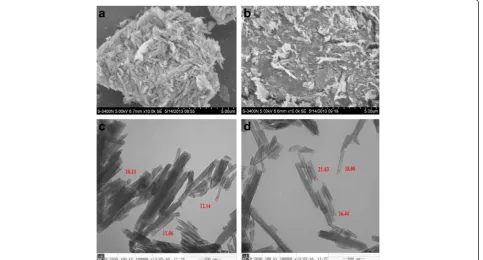 Fig. 1 a Scanning electron microscope (EM) image of the halloysite nanotubes (HNT) powder
